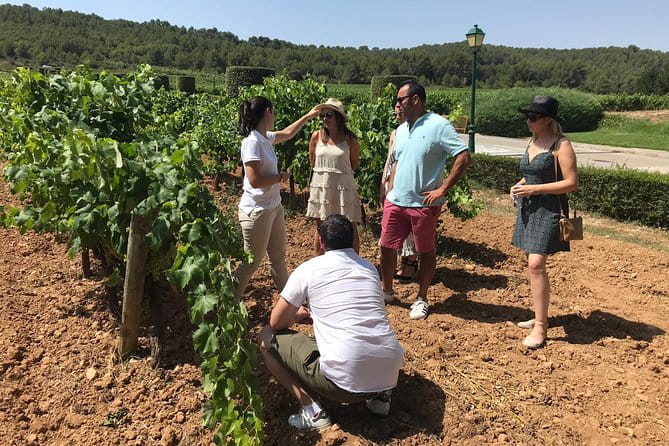 Private Day Trip from Barcelona to Montserrat - FAQ