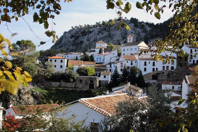 *Private Day Trip* from Cádiz: The White Towns of Andalusia - Exploring the White Towns: From Cádiz to Scenic Villages