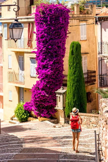 Private day trip from Monaco to the gems of French Riviera - Antibes: Coastal Elegance and Artistic Charm