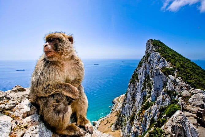 *Private Day Trip* Gibraltar & Bolonia from Cádiz - Who Would Enjoy This Tour?