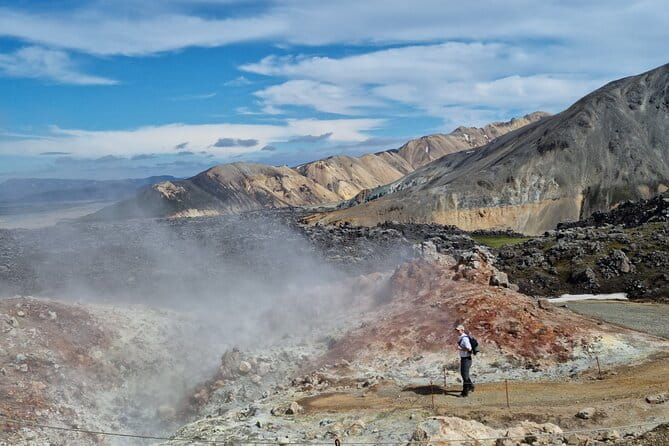 Private Day Trip in Landmannalaugar South Region area on a 4x4 truck - Who Is This Tour Best For?