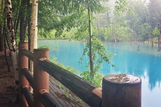 Private Day Trip to Asahiyama Zoo and Biei Blue Pond - Asahiyama Zoo