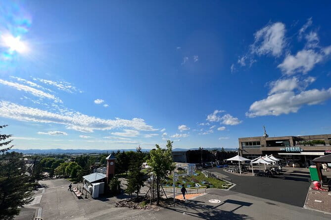 Private Day Trip to Asahiyama Zoo and Biei Blue Pond - Biei Blue Pond