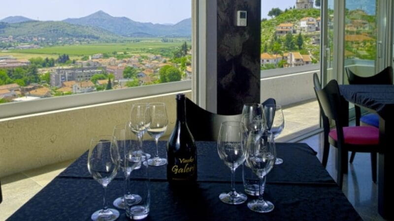 Private Day Trip to Bosnia: Wine, Culture & Local Lunch - Who Should Consider This Tour?