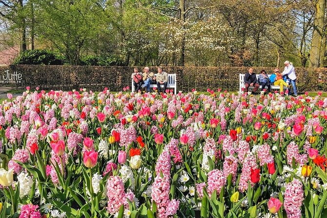 Private Day Trip to Keukenhof Gardens with Entrance Tickets - Exploring the Keukenhof Private Tour: What You Can Expect