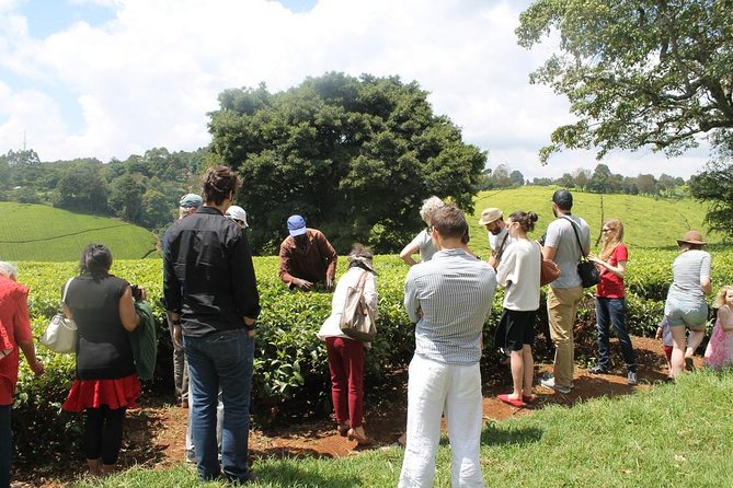 Private Day Trip to Kiambethu Tea Farm in Limuru From Nairobi - Highlights of the Experience