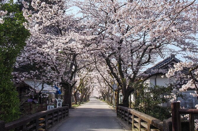 Private Day Trip to Kumamoto & Asakura From Fukuoka With Minibus - Key Points