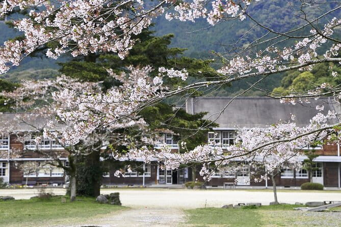 Private Day Trip to Kumamoto & Asakura From Fukuoka With Minibus - Pickup Information