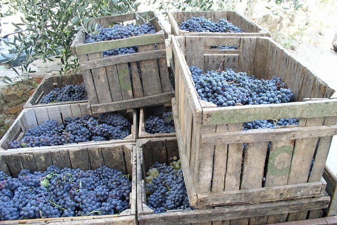 Private Day Trip to Montalcino and Montepulciano from Florence - Exploring Tuscany’s Wine and Hilltop Towns: A Deep Dive into the Private Montalcino and Montepulciano Trip