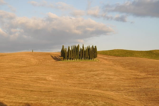 Private Day Trip to Montalcino and Montepulciano from Florence - Price and Logistics: Is It Worth It?