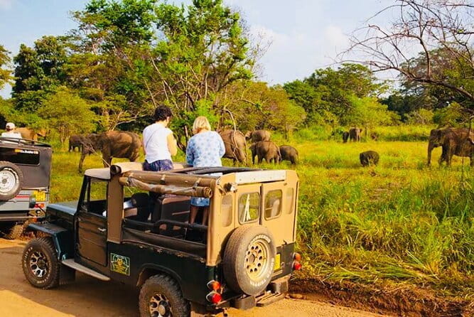 Private Day Trip To Sigiriya Dambulla and Safari From Trincomalee - An In-Depth Look at a Full-Day Sri Lankan Adventure