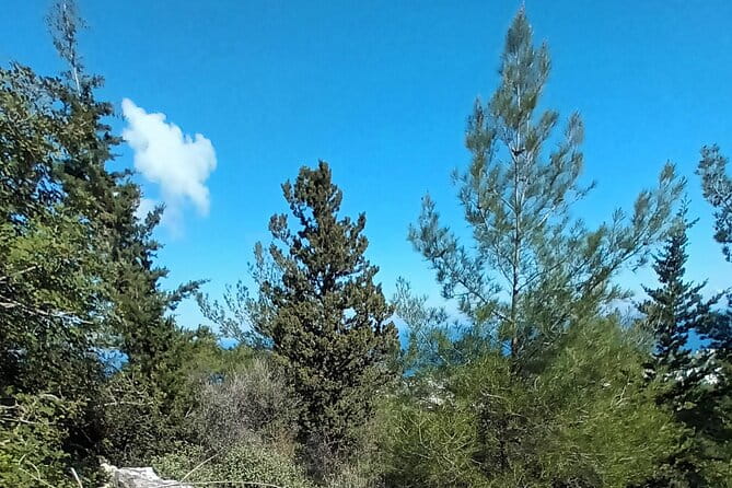 Private Day Walk in the Nature Near Kyrenia, Cyprus - Logistics and Practicalities