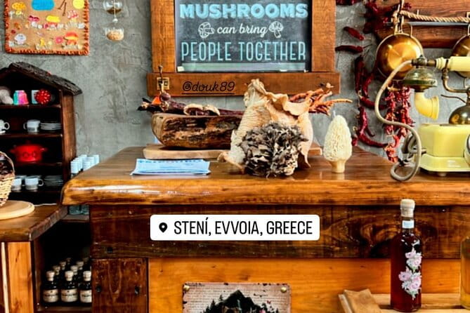 Private Daytrip for Truffle Mushroom Foraging and Wine Tasting - Lunch: Mushroom-Inspired Cuisine