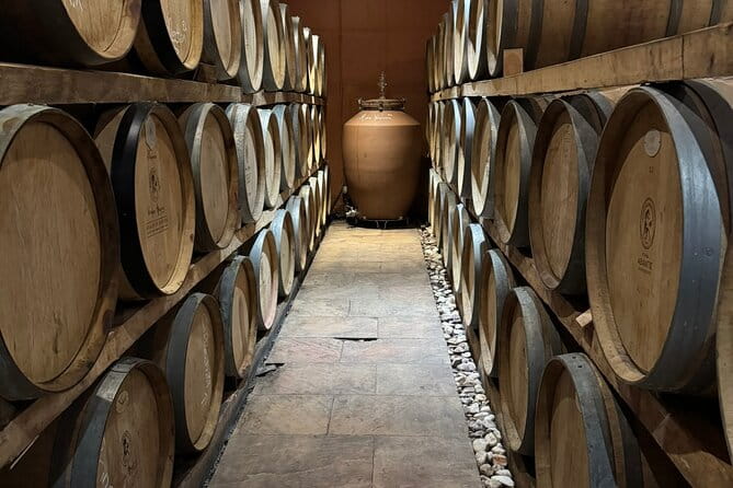 Private Daytrip for Truffle Mushroom Foraging and Wine Tasting - Is It Worth The Price?