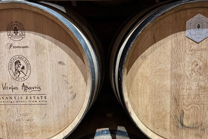 Private Daytrip for Truffle Mushroom Foraging and Wine Tasting - Final Thoughts