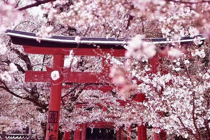 Private Departure Transfer From Kyoto City to Kansai International Airport - Booking and Cancellation Policy