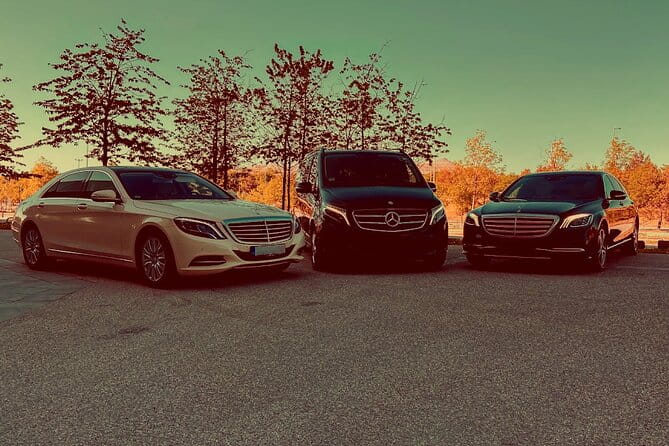 Private Departure Transfer: Schiphol Airport Amsterdam - Quick Overview of the Private Schiphol Airport Transfer