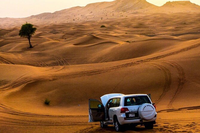 Private Desert Excursion With Camel Ride Sandboard & BBQ Dinner - International Buffet Dinner