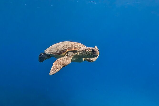 Private Discover Scuba Diving Experience in Messinia - Meeting and Pickup Details