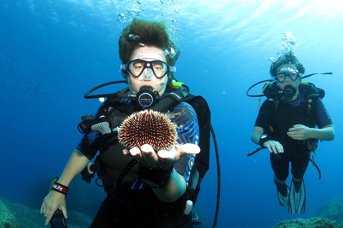 Private Discover Scuba Diving for Beginners in Athens With Pickup - Meeting Point and Directions