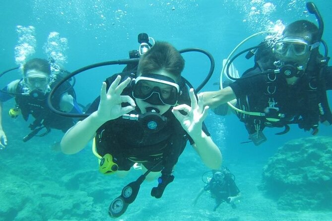 Private Discovery Dive + Photos & Videos - Photos and Videos