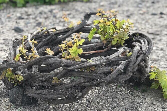 Private Discovery Tour with Wine Tasting - Akrotiri - Red beach - Final Thoughts: Is This Tour Right for You?