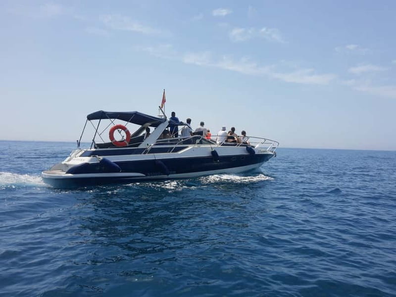 PRIVATE DOLPHIN WATCHING SUNSEEKER WITH DRINKS ON FUENGIROLA - Discovering Fuengirola from the Water