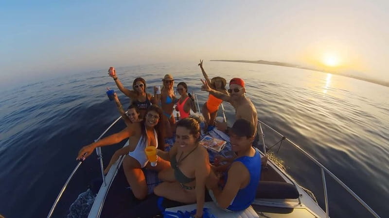 PRIVATE DOLPHIN WATCHING SUNSEEKER WITH DRINKS ON FUENGIROLA - Who Is This Tour Best For?