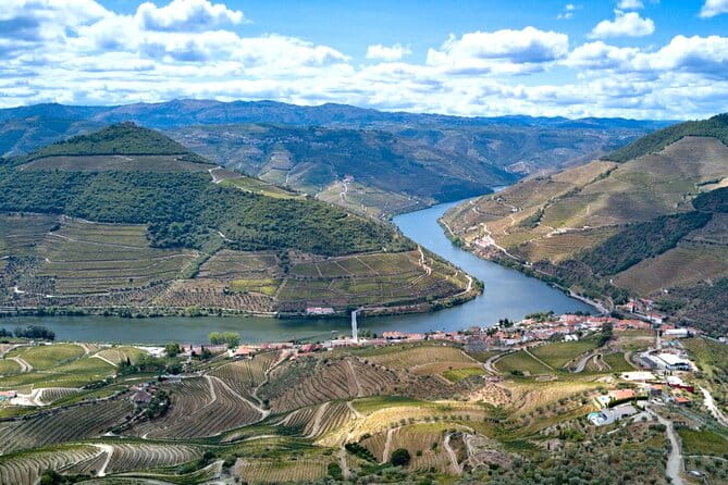 Private Douro Valley Tour: Boutique Winerie & River Cruise - The Experience in Full Detail