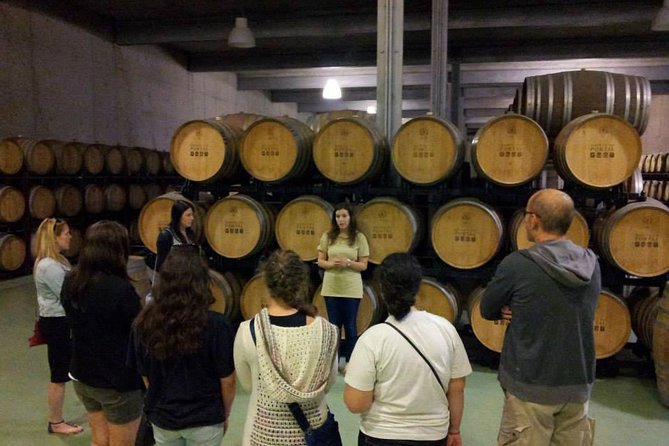 Private Douro Valley Wine Tour: 2 Wine Estates, Lunch and Cruise - Meeting and Pickup Details