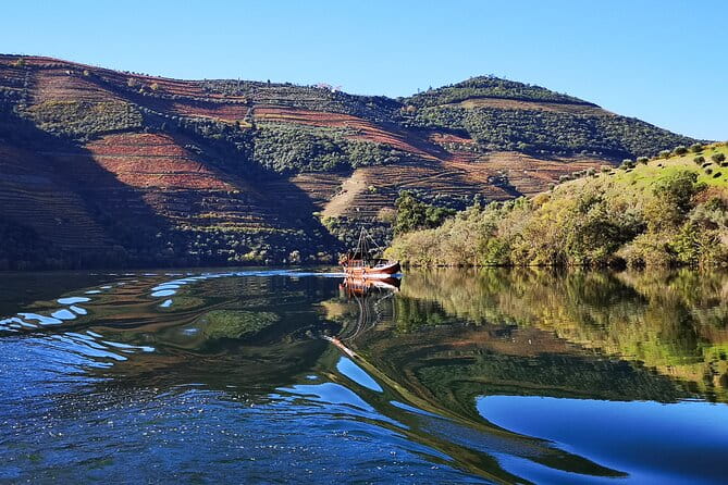 Private Douro Valley Wine Tour + Lunch and Boat Cruise - Key Points / Takeaways