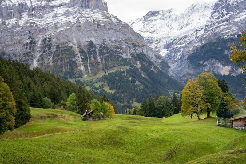 Private driver for tour from Zurich to Jungfraujoch and back - Who This Tour Is Perfect For