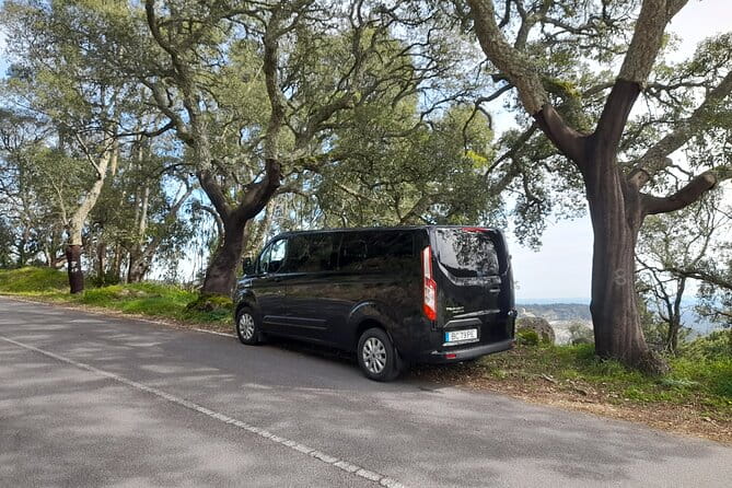 Private Driver from Seville To Algarve By 8 Seats Minibus - Who Should Consider This Transfer?