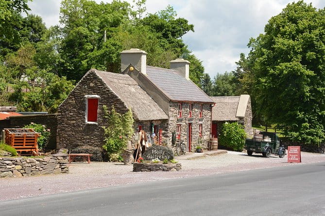 Private Dublin Tour for Families with a Local, 100% Personalized - Exploring Dublin with Your Family