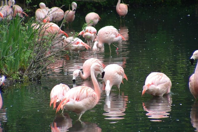 Private Dublin Tour for Families with a Local, 100% Personalized - Price and Overall Value