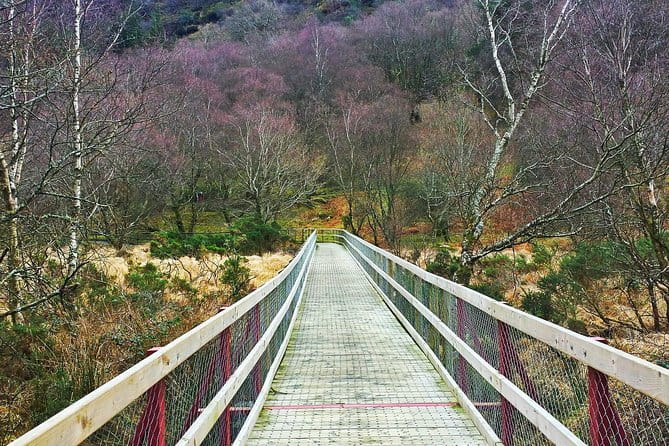 Private Dublin Tour for Families with a Local, 100% Personalized - Practical Tips for Booking and Enjoying