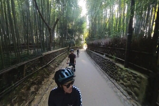 Private: E-bike Cycling Tour in Arashiyama - Highlights of the Experience