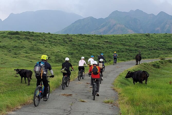 Private E-Mtb Guided Cycling Around Mt. Aso Volcano & Grasslands - Tour Pricing and Inclusions
