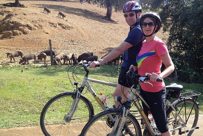 Private Ebike full day excursion to Sierra Norte Natural Park - Entering the World of Sierra Norte: An In-Depth Review of the Private Ebike Day Tour