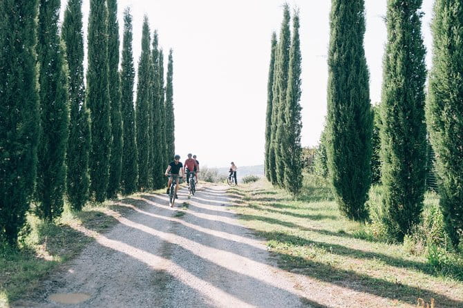 Private Ebike Tour in Chianti - Who Will Love This Experience?