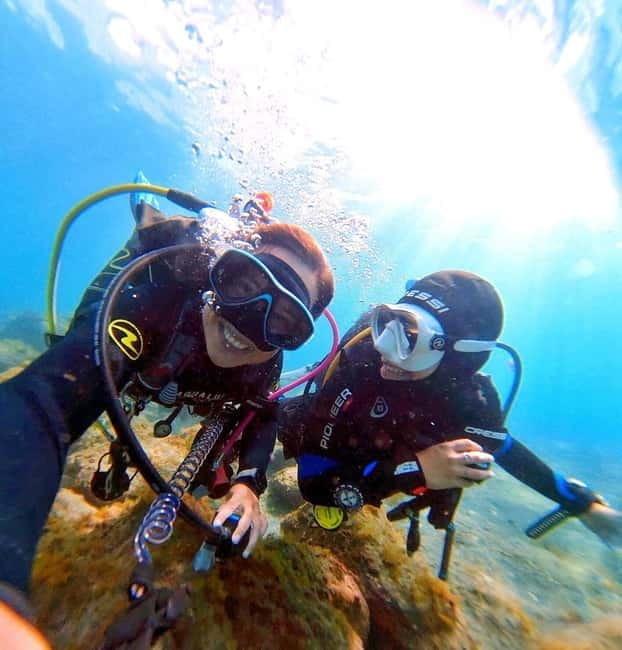 Private Eco Scuba Diving in Tenerife: no crowds and no rush - Key points / Takeaways