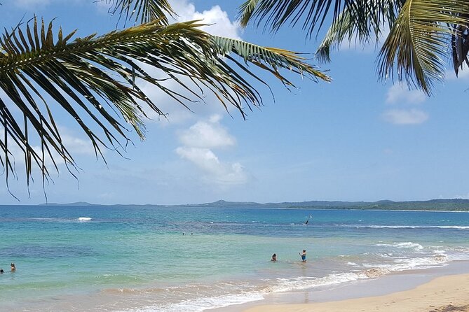 Private El Yunque Waterslides and Luquillo Beach Tour - Luquillo Street Food Kiosks