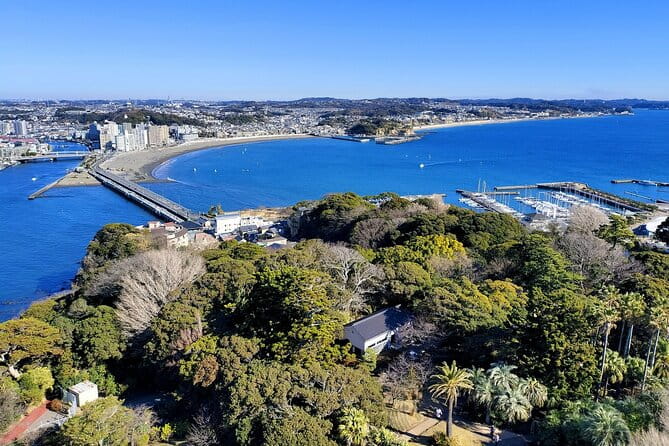 Private Enoshima and Kamakura Custom Walking Tour - Key Points