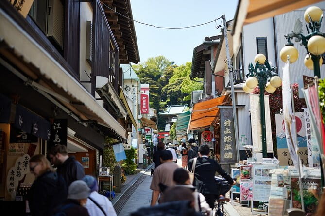 Private Enoshima and Kamakura Custom Walking Tour - Kamakura: The Medieval Capital