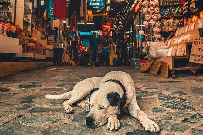 Private Ephesus & Sirince Village Tour - Frequently Asked Questions