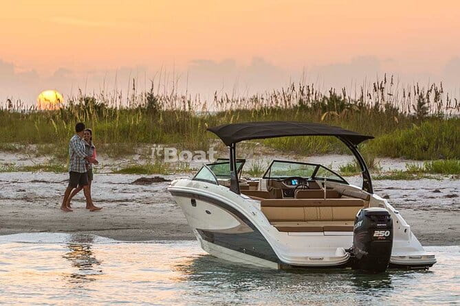 Private escape to discover Cannes & Lerins islands from the sea - Who Should Consider This Experience?