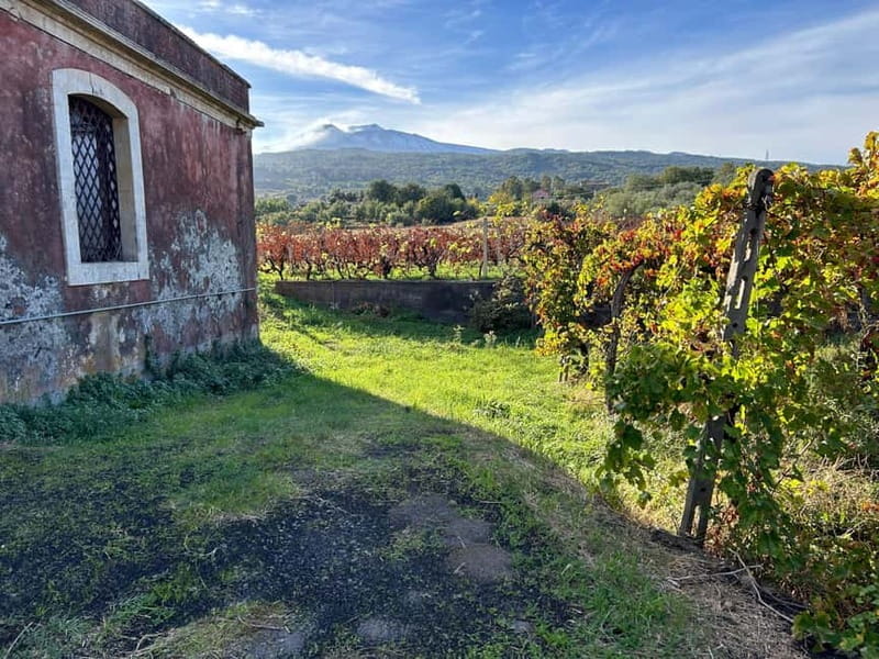 Private Etna panoramic tour+Wine tasting & food combination - Key points / Takeaways