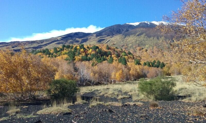 Private Etna Tour from Taormina - The Lunch Break at Chalet Clan dei Ragazzi