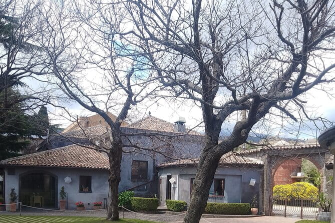 Private Etna tour with wine tasting and lunch - Exploring the Itinerary in Detail