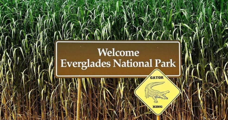 Private Everglades Tour:Explore the Beauty of the Everglades - Key Points